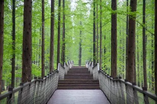 盐城旅游景点大全排名