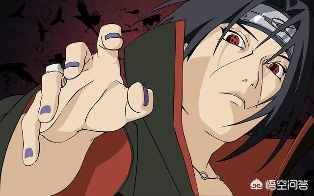 鼬的实力是什么水平