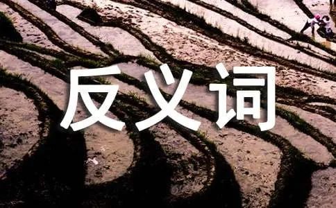 珍贵的近义词反义词是什么