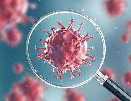 北京新发地疫情病毒源头最新结论,为何不能直接禁止进口?