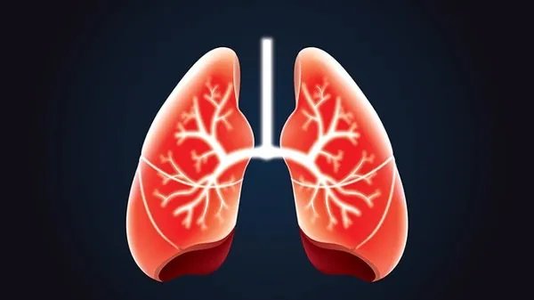 云南昨日新增确诊病例11例，无症状感染者1例