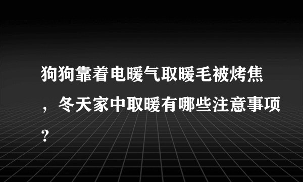 狗狗靠着电暖气取暖毛被烤焦，冬天家中取暖有哪些注意事项？
