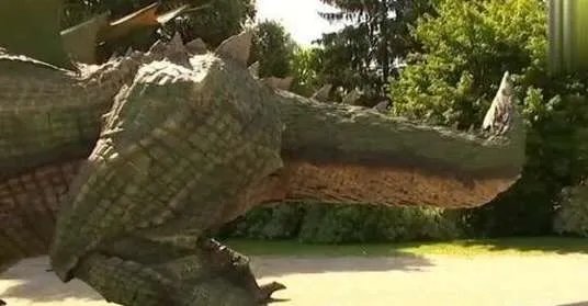 世界上最大的机器人,最大行走机器人凡尼