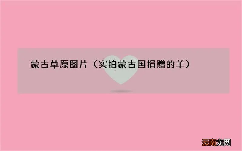 实拍蒙古国捐赠的羊 蒙古草原图片