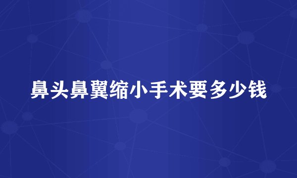 鼻头鼻翼缩小手术要多少钱