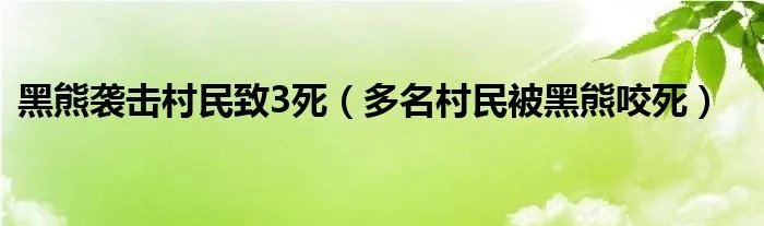 黑熊袭击村民致3死（多名村民被黑熊咬死）