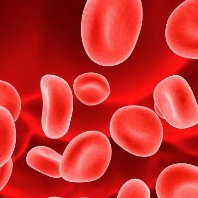 出血热是什么症状