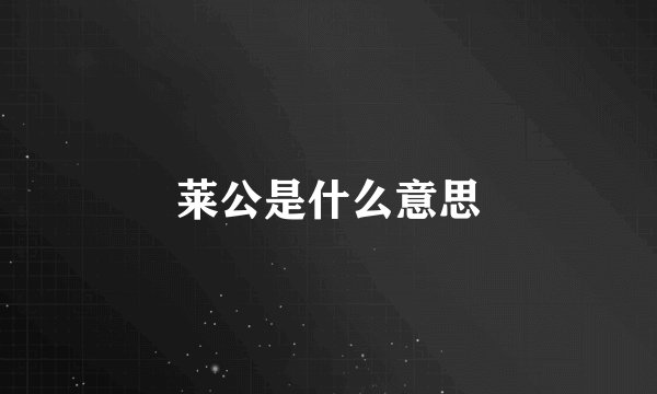 莱公是什么意思