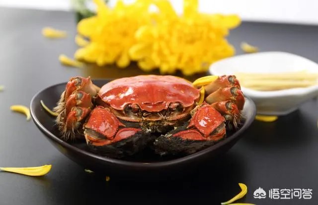 德国大闸蟹和阳澄湖大闸蟹，哪个好吃？