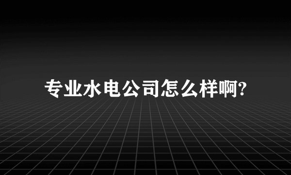 专业水电公司怎么样啊?