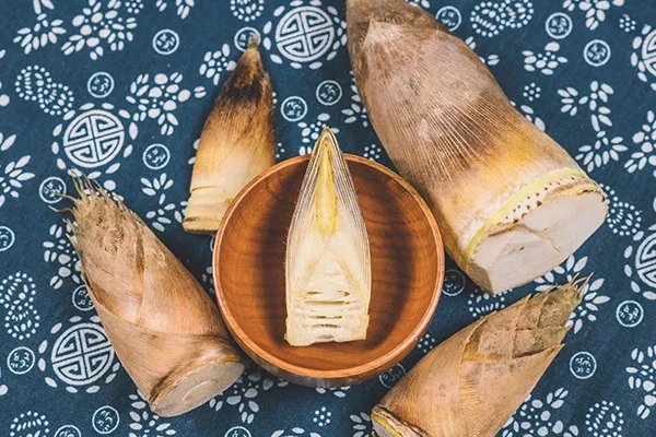 春笋的营养价值及功效