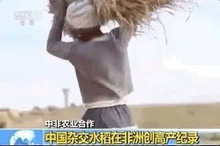 袁隆平真的逝世了吗？