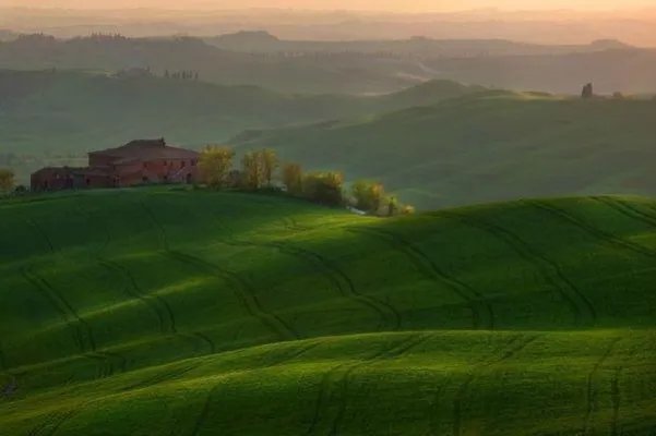 叶夕颜萧君泽沈鸾小说 叶夕颜萧君泽免费阅读