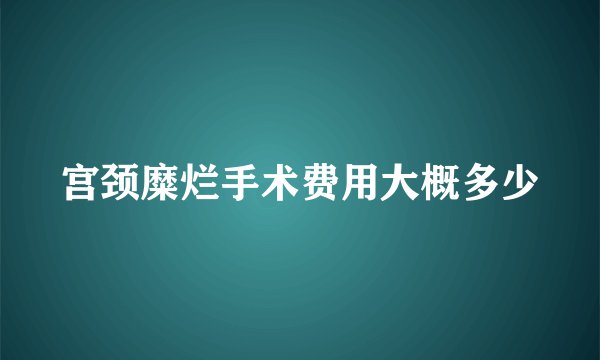 宫颈糜烂手术费用大概多少