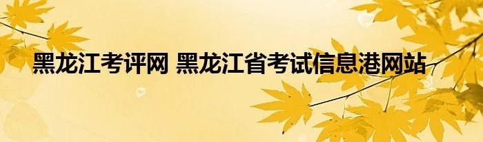黑龙江考评网 黑龙江省考试信息港网站
