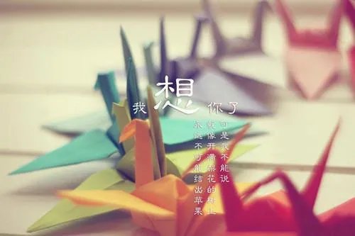 秦一飞杨若曦小说 秦一飞杨若曦最新章节