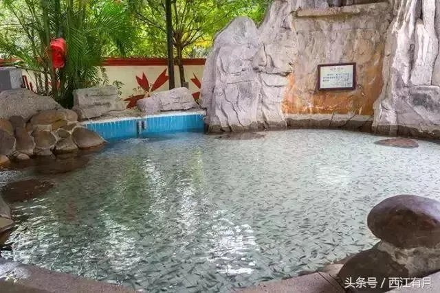 惠州的南昆山十字水生态度假村环境怎么样?值得一去吗?