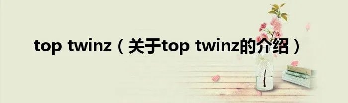 top twinz（关于top twinz的介绍）