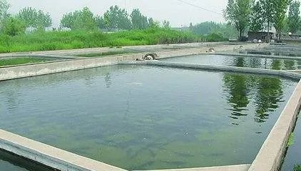 承包鱼塘什么意思