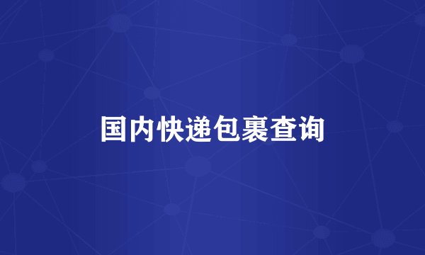 国内快递包裹查询