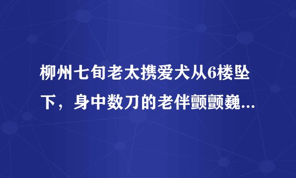 柳州七旬老太携爱犬从6楼坠下,身中数刀的老伴颤颤巍巍向楼下张望, 你怎么看?