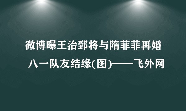 微博曝王治郅将与隋菲菲再婚 八一队友结缘(图)——飞外网