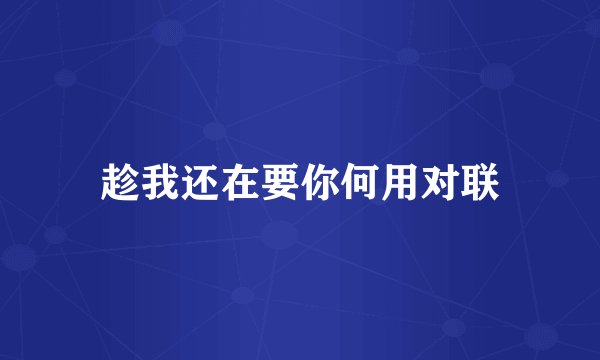 趁我还在要你何用对联