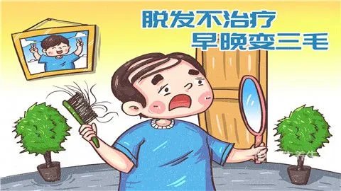 男人脱发的原因