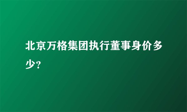 北京万格集团执行董事身价多少？