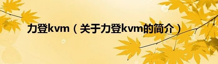力登kvm(关于力登kvm的简介)