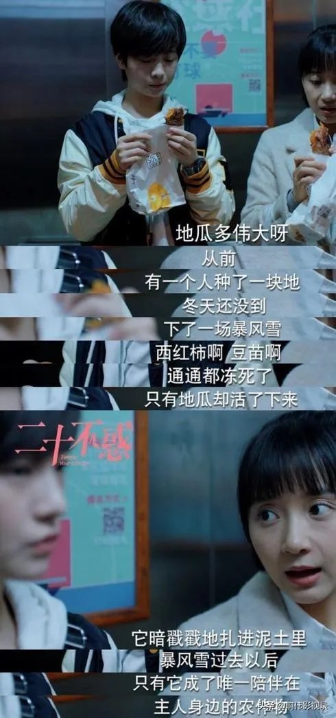 《二十不惑》结局姜小果为什么拒绝周寻?