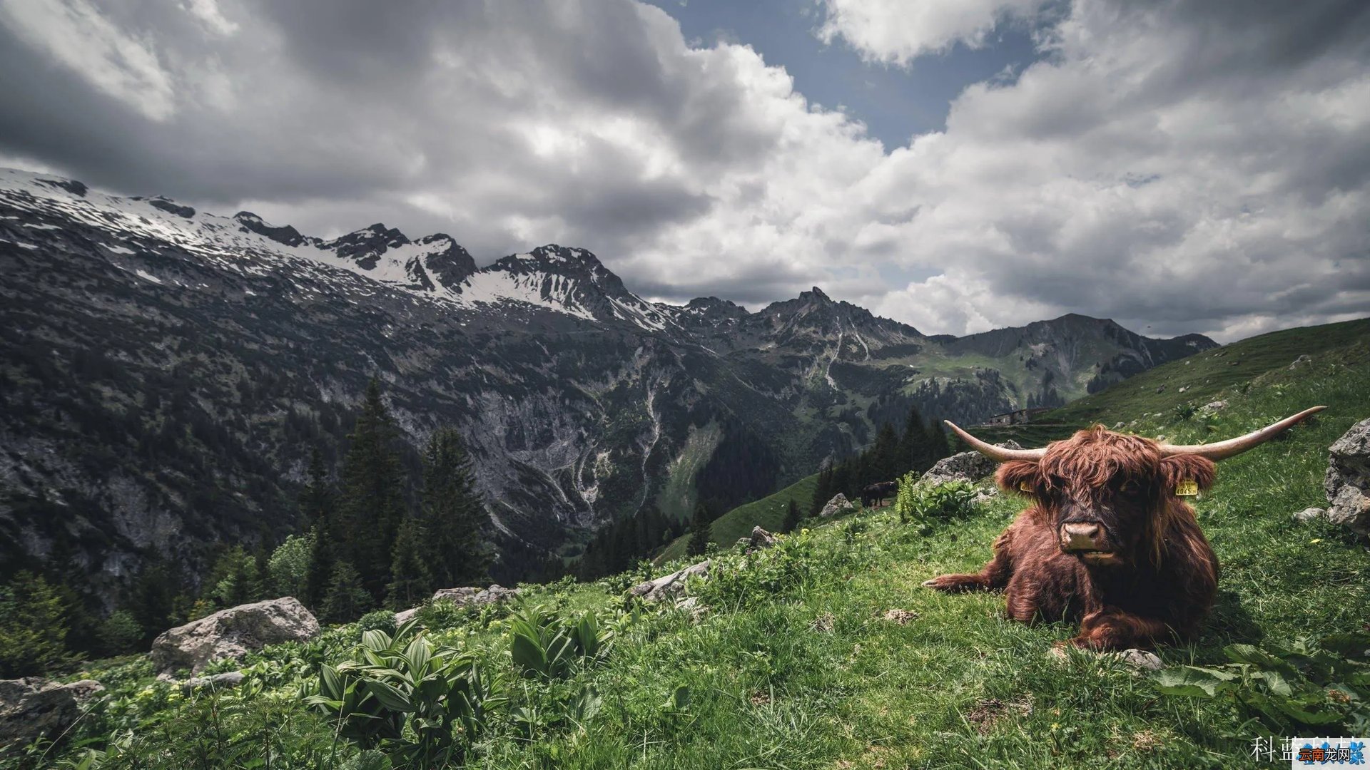 罕见病小飞侠，世界罕见病日，你了解罕见病吗