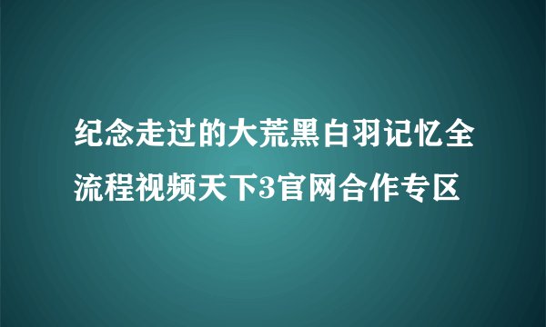 纪念走过的大荒黑白羽记忆全流程视频天下3官网合作专区