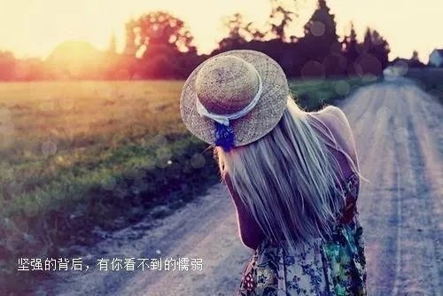 张诺穿越到唐朝小胖的熊猫最新小说全文阅读