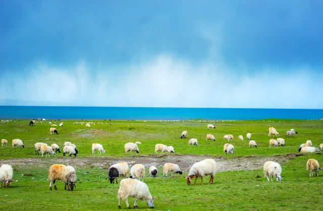 2020伏羊节是哪一天 2020伏羊节是几月几号