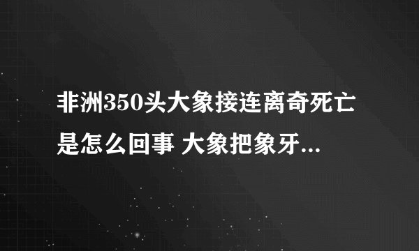 非洲350头大象接连离奇死亡是怎么回事 大象把象牙拿了能活吗