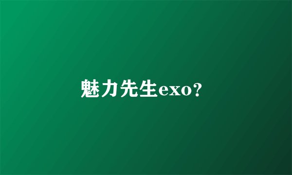 魅力先生exo？