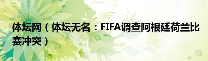 体坛网（体坛无名：FIFA调查阿根廷荷兰比赛冲突）