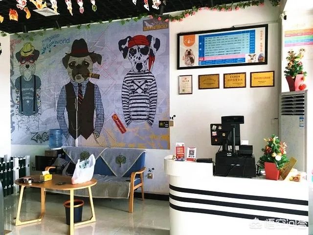 哪家宠物美容培训好啊?