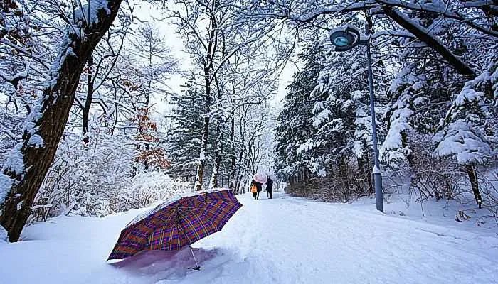 2021年数九日历表 2021数九日历时间表