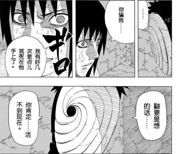 鼬的实力是什么水平