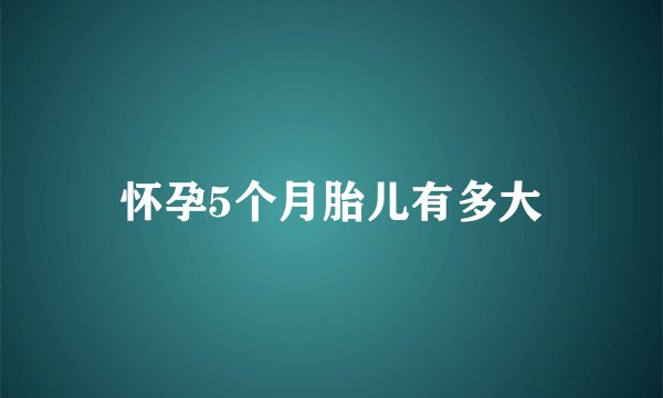 怀孕5个月胎儿有多大
