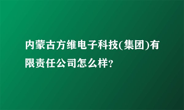 内蒙古方维电子科技(集团)有限责任公司怎么样？