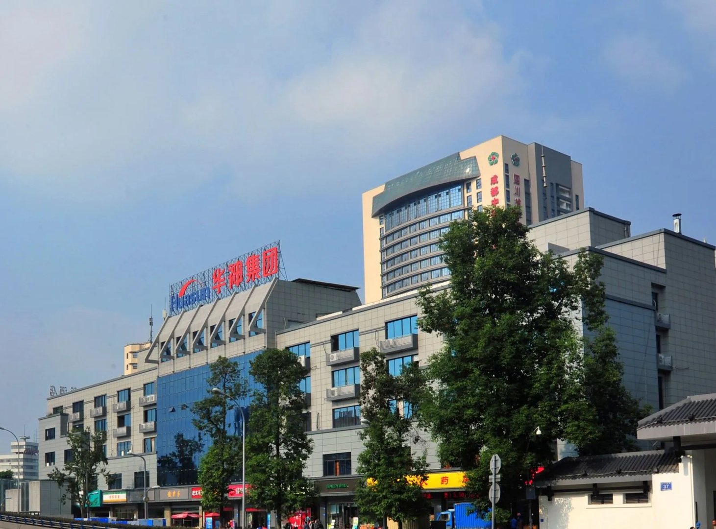 成都华神集团股份有限公司的公司简介