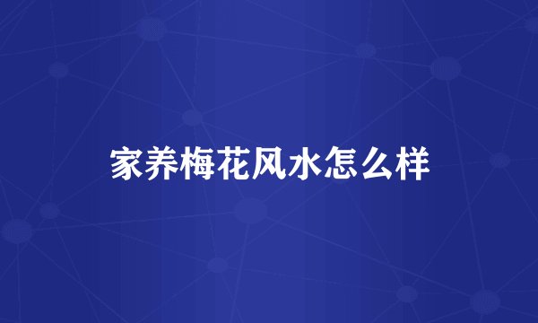 家养梅花风水怎么样