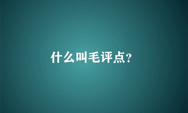 什么叫毛评点？