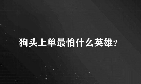狗头上单最怕什么英雄?