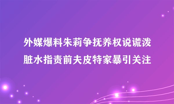 外媒爆料朱莉争抚养权说谎泼脏水指责前夫皮特家暴引关注