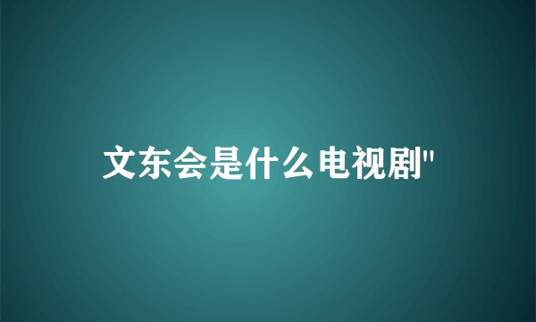 文东会是什么电视剧