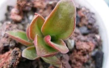 房间颜色的风水禁忌 五行与颜色的对应关系